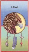 Orel