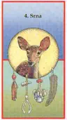 Srna