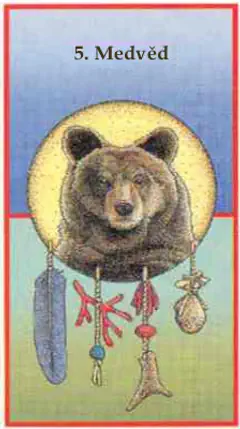 Medvěd