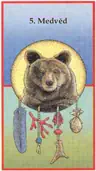 Medvěd