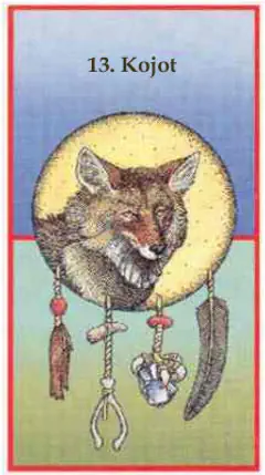 Kojot Kojot