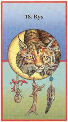 Rys