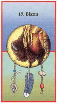 Bizon