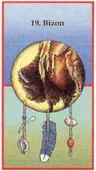 Bizon