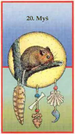 Myš