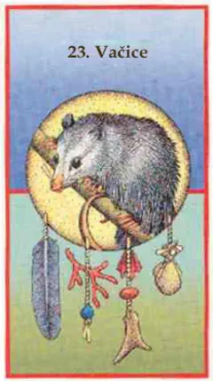 Vačice Vačice