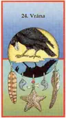 Vrána