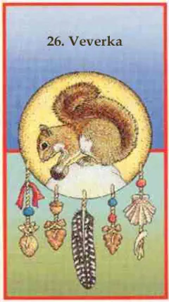 Veverka Veverka