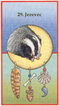 Jezevec