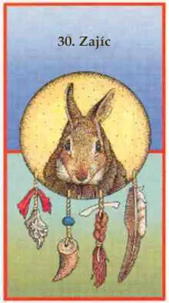 Zajíc