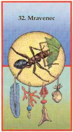 Mravenec