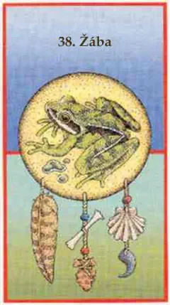 Žába