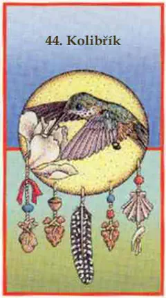 Kolibřík