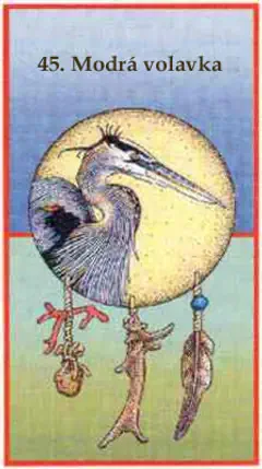 Modrá volavka Modrá volavka