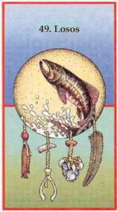 Losos