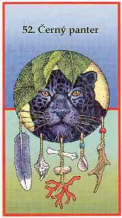 Černý panter