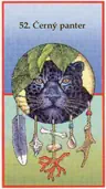 Černý panter