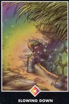 Zpomalení Zpomalení